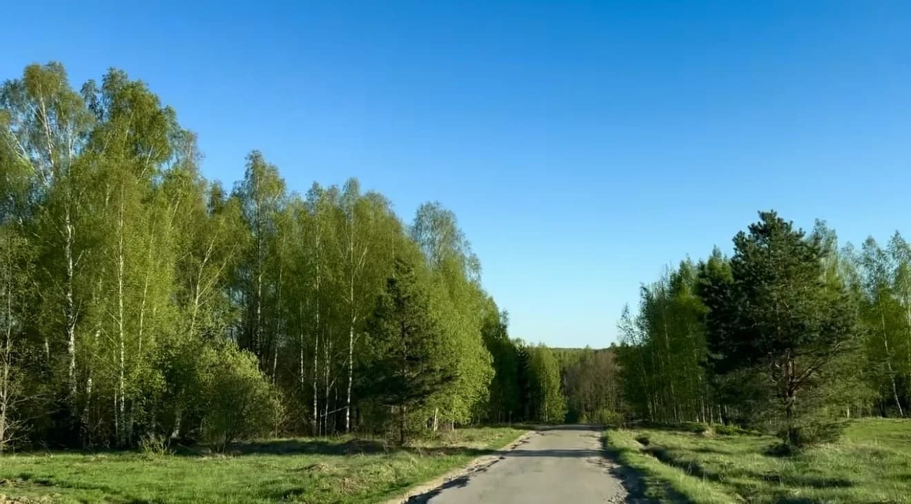 Дорога с поля_Шелухово