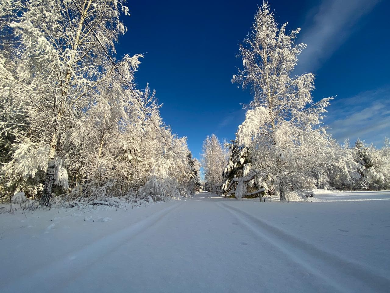 Шелухово_зима